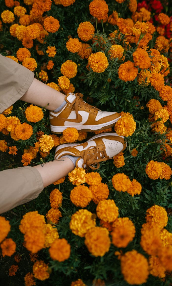 A stylish pair of sneakers among vibrant orange marigold flowers.